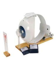 3B Scientific, modello anatomico funzionale di occhio W16002
