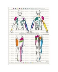 Osteoposter - Irradiazioni Legamenti Interspinosi Verticale