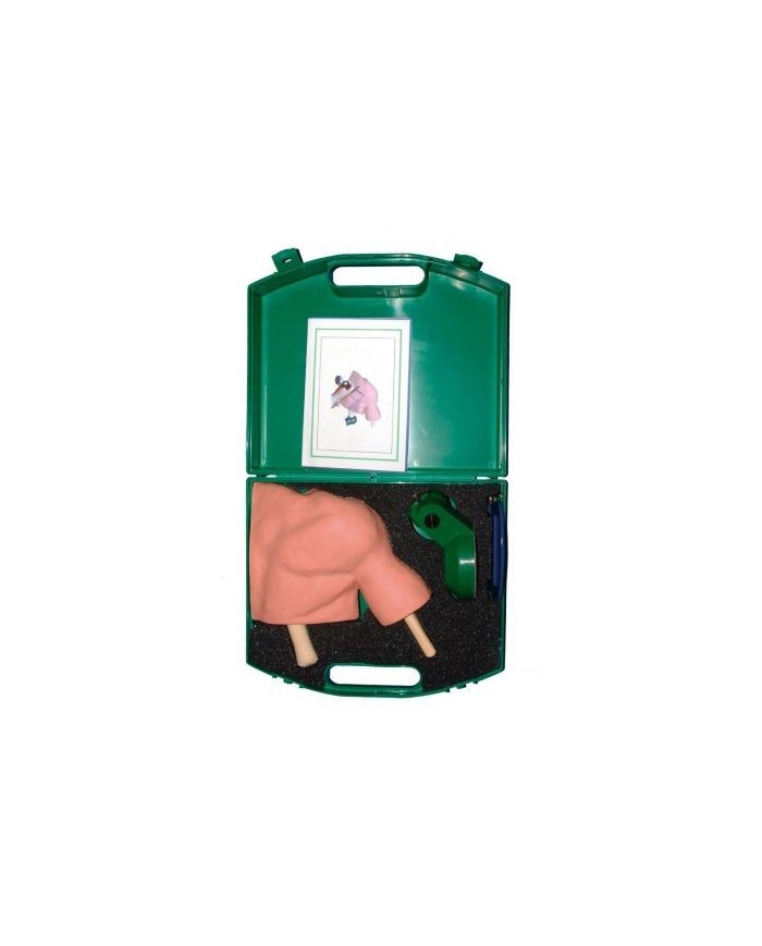 Simulatore di artroscopia della spalla Erler Zimmer HSSH01 Simulatore di artroscopia della spalla Erler Zimmer HSSH01