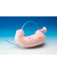 Modello di addestramento di dissezione endoscopica della sottomucosa Erler Zimmer LM83