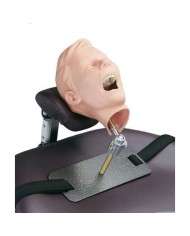 Manichino per la radiologia dentale in età pediatrica - R17002