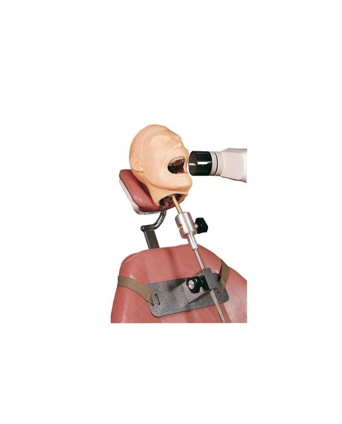 Manichino per la simulazione medica di radiologia dentale - R17001