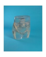 Simulatore per radiologia - Bacino e anca - Trasparente - Erler Zimmer 7240