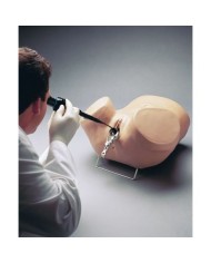 Simulatore per Ginecologia - Addestramento Isteroscopia - Erler Zimmer R10184
