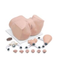 Simulatore per Ginecologia - Manichino per l'addestramento ginecologico - Erler Zimmer R10182