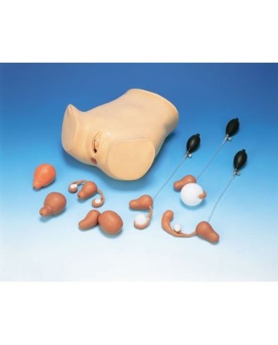 Simulatore per Ginecologia - Manichino per l'addestramento alla visita ginecologica - Erler Zimmer LM50