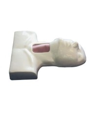 Simulatore di medicina - Addestramento alla Cricotracheotomia - Erler Zimmer R10095