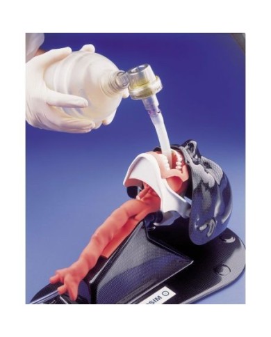 Manichino per l'addestramento standard all'intubazione Erler Zimmer R18100