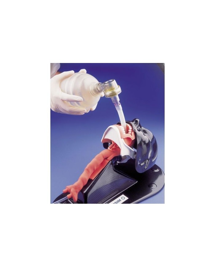 Manichino per l'addestramento standard all'intubazione Erler Zimmer R18100