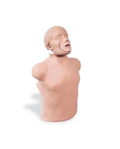Addestramento alla rianimazione cardiopolmonare, Torso Brad con sublussazione della mandibola Erler Zimmer R10087