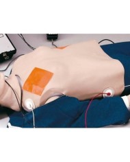 Pelle del torace per difibrillatore per  Simulatore di rianimazione Erler Zimmer R10052/7