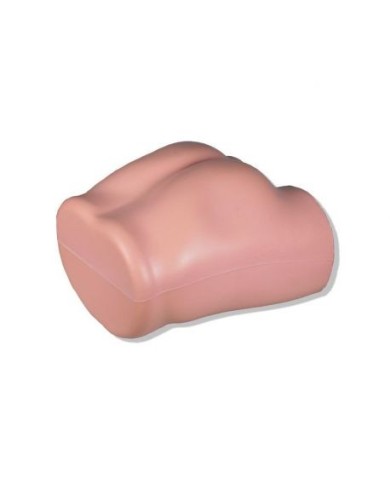 Simulatore per iniezioni Intramuscolo e biopsia della cresta iliaca Erler Zimmer 7090