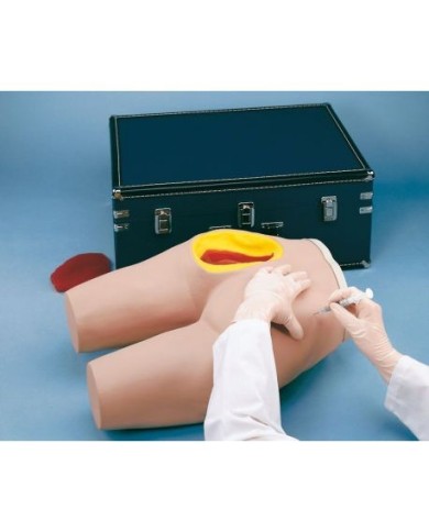 Simulatore per l'addestramento alle iniezioni Intramuscolo  Erler Zimmer R10961