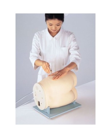 Simulatore per l'addestramento alle iniezioni Intramuscolo  Erler Zimmer LM57