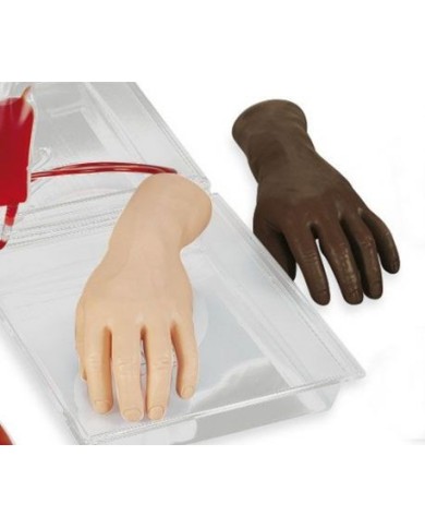 Mano per l'addestramento alle iniezioni Endovenose Erler Zimmer R10210