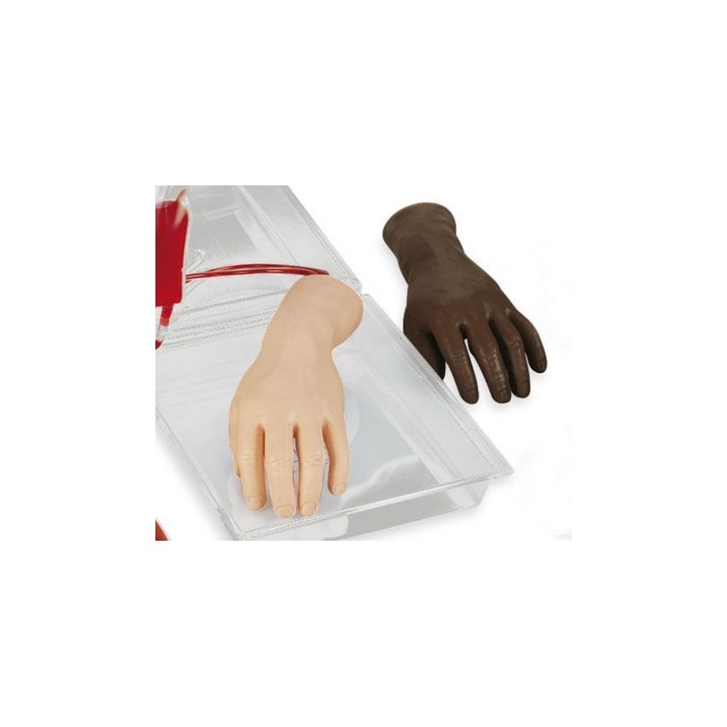 Mano per l'addestramento alle iniezioni Endovenose Erler Zimmer R10210