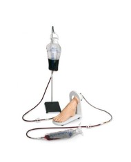 Piede per l'addestramento alle iniezioni Endovenose Erler Zimmer R11005