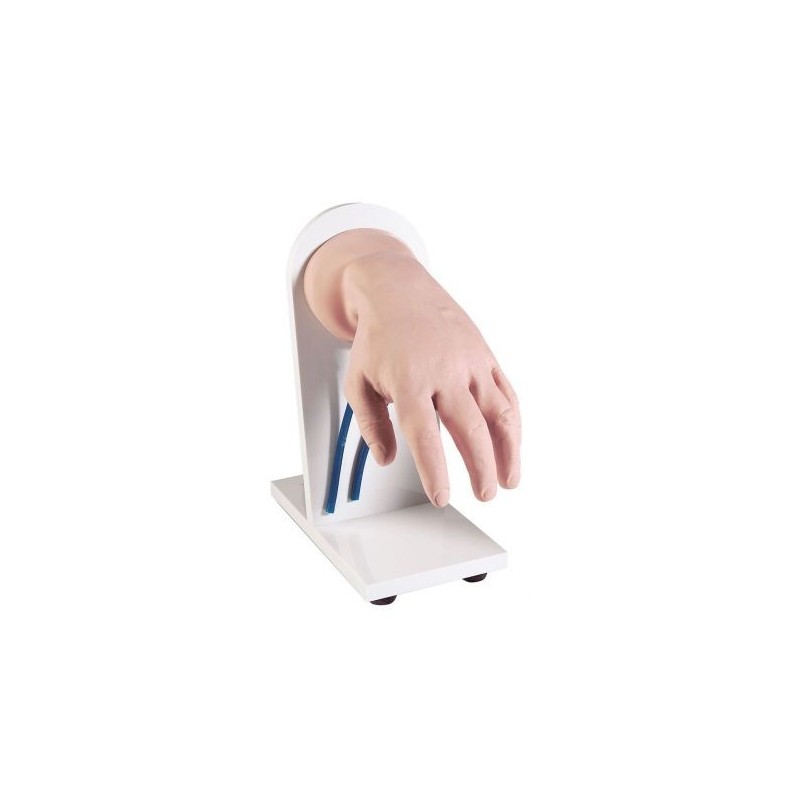 Mano  per l'addestramento alle iniezioni Endovenose Erler Zimmer R10005