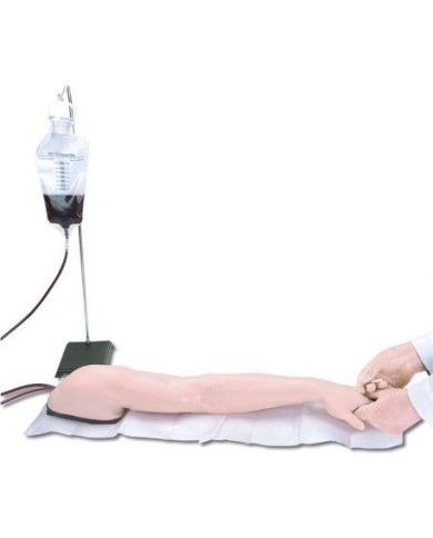Braccio per l'addestramento alle iniezioni endovenose Erler Zimmer R10004