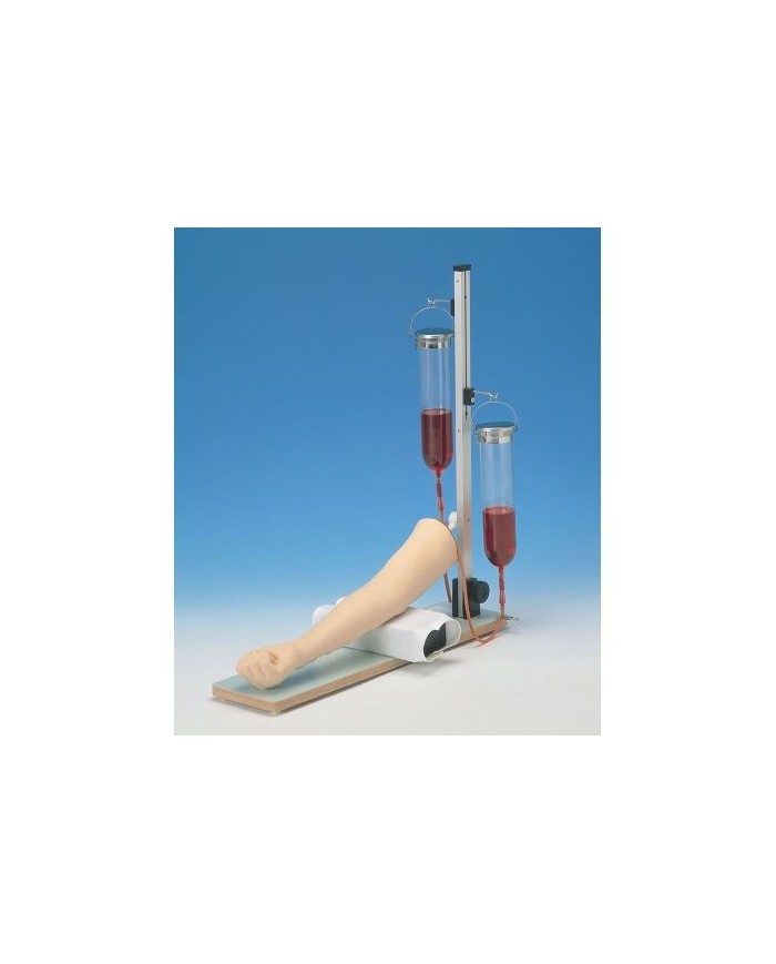 Braccio per l'addestramento alle iniezioni endovenose e prelievi di sangue Erler Zimmer LM28