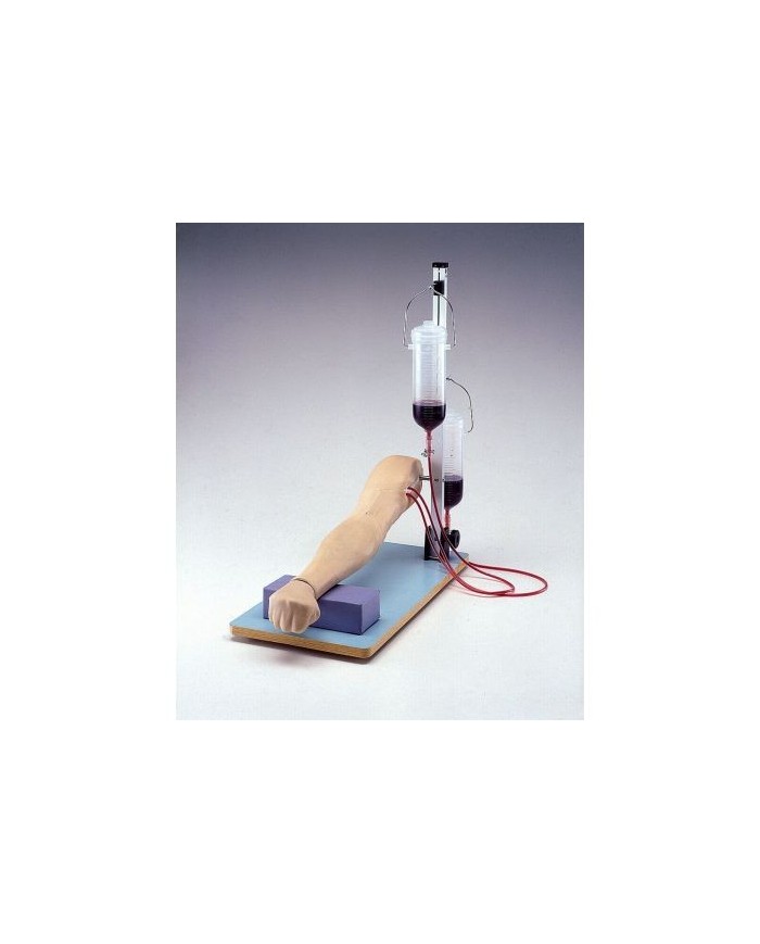 Braccio universale per l'addestramento alle iniezioni endovenose e prelievi di sangue Erler Zimmer LM74