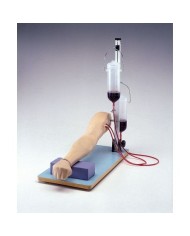 Braccio universale per l'addestramento alle iniezioni endovenose e prelievi di sangue Erler Zimmer LM74