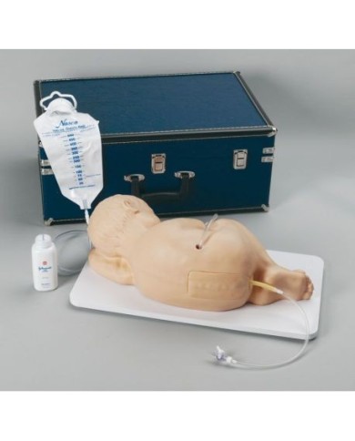 Simulatore per addestramento all'iniezione lombare pediatrico Erler Zimmer R11031