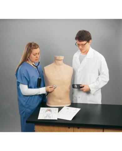 Simulatore di Auscultazione Erler Zimmer R10001