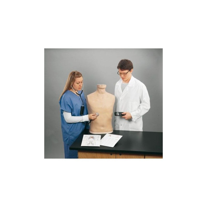 Simulatore di Auscultazione Erler Zimmer R10001