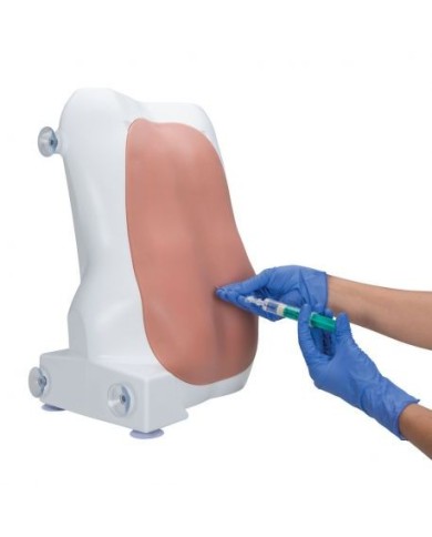 Simulatore per iniezioni epidurali e spinali 3B Scientific P61