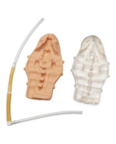 Kit di parti di ricambio per Simulatore Pediatrico per addestramento alle iniezioni caudali Erler Zimmer R11032