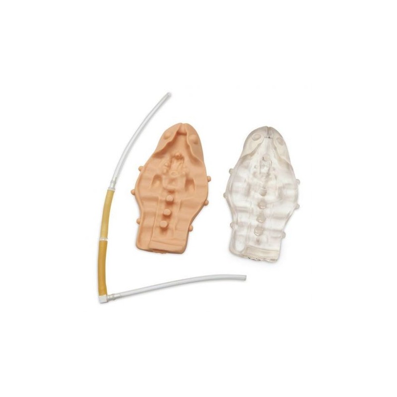 Kit di parti di ricambio per Simulatore Pediatrico per addestramento alle iniezioni caudali Erler Zimmer R11032