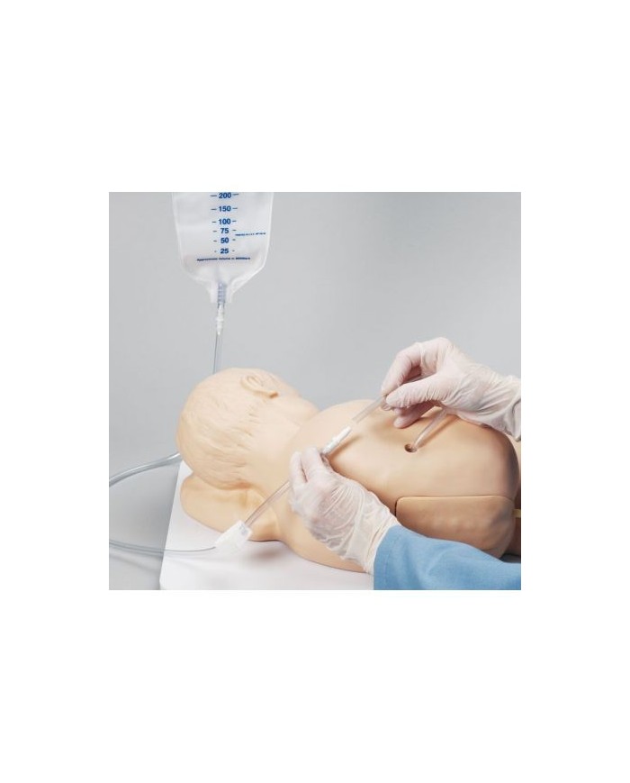 Simulatore Pediatrico per addestramento alle iniezioni lombari Erler Zimmer R11031