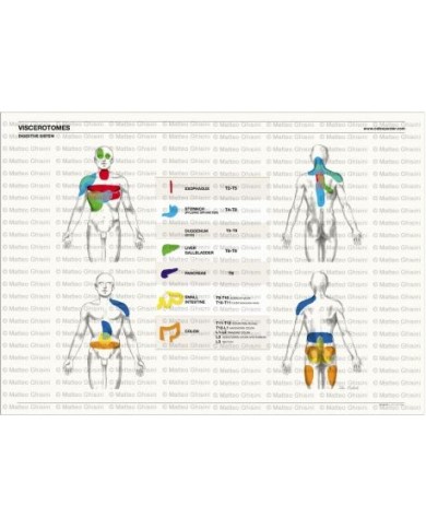 Osteoposter - Viscerotomi Sistema digestivo Orizzontale
