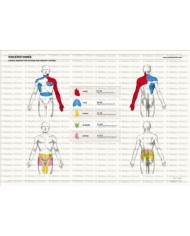 Osteoposter - Viscerotomi Sistema Cardio e Urinario Orizzontale