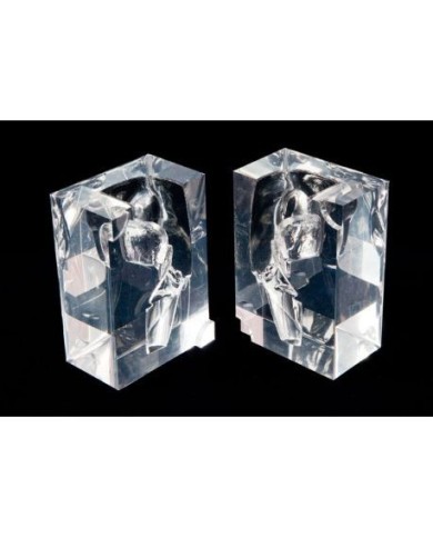 Erler Zimmer, modello anatomico trasparente di apparato laringo faringeo Erler Zimmer LM104 Erler Zimmer, modello anatomico trasparente di apparato laringo faringeo Erler Zimmer LM104