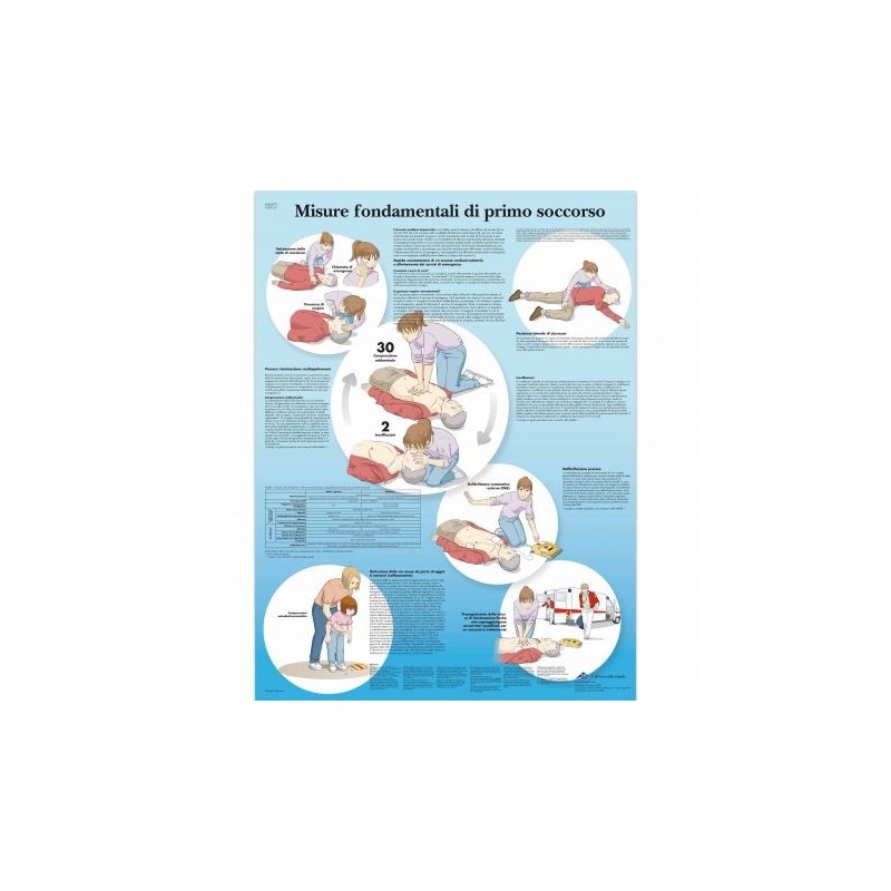 3B Scientific, tavola anatomica, Misure di Primo Soccorso (cod, VR4770UU)