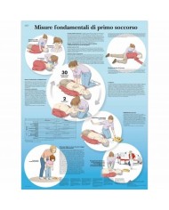 3B Scientific, tavola anatomica, Misure di Primo Soccorso (cod, VR4770UU)