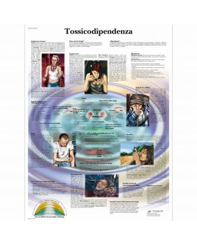 3B Scientific, tavola anatomica, Tossicodipendenza  (cod, VR4781UU) 3B Scientific, tavola anatomica, Tossicodipendenza  (cod, VR4781UU)
