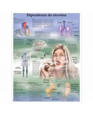 3B Scientific, tavola anatomica, Dipendenza da Nicotina (cod, VR4793UU)
