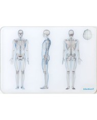 OsteoBoard - Il Corpo Umano -  piccola