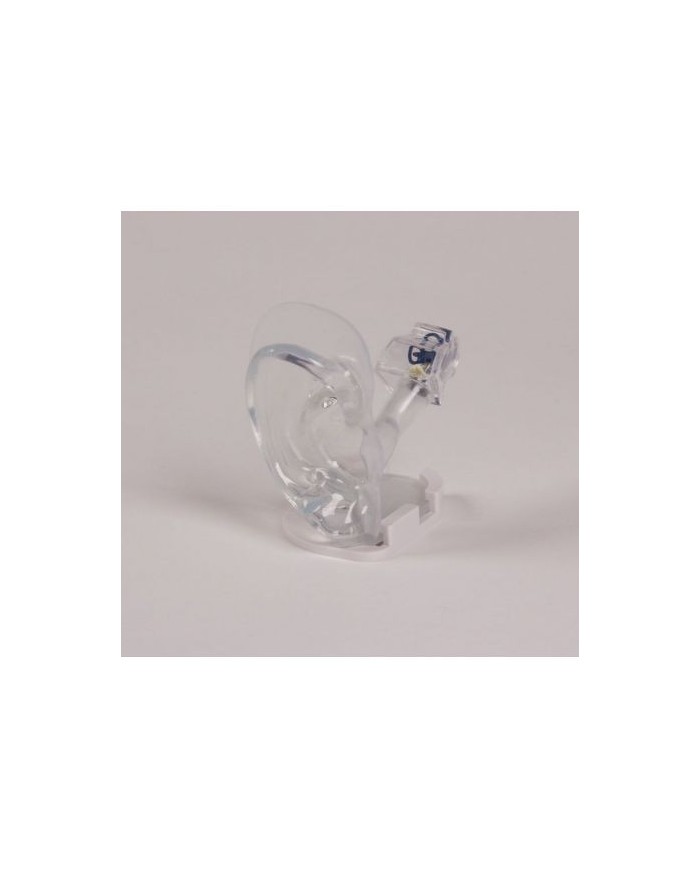 Modello anatomico di orecchio trasparente a dimensioni naturali - Erler Zimmer E133