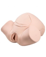 Simulatore di Parto 3B Scientific P90 Basic