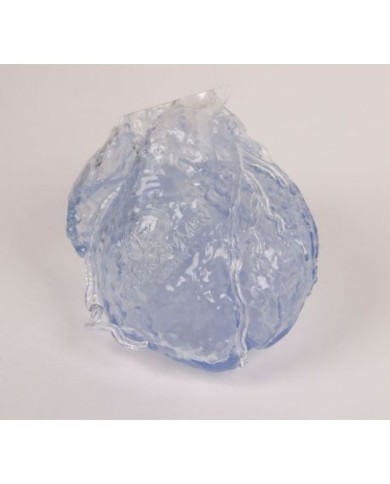 Erler Zimmer, modello anatomico di cuore trasparente con coronarie cave R50320 Erler Zimmer, modello anatomico di cuore trasparente con coronarie cave R50320