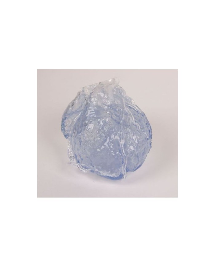 Erler Zimmer, modello anatomico di cuore trasparente con coronarie cave R50320