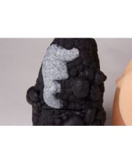 Erler Zimmer, Confronto di Cancro al Polmone R10063