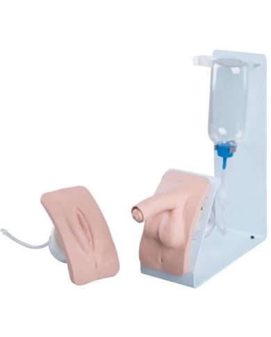 Simulatore per la pratica del cateterismo maschile e femminile BASIC P93B-S