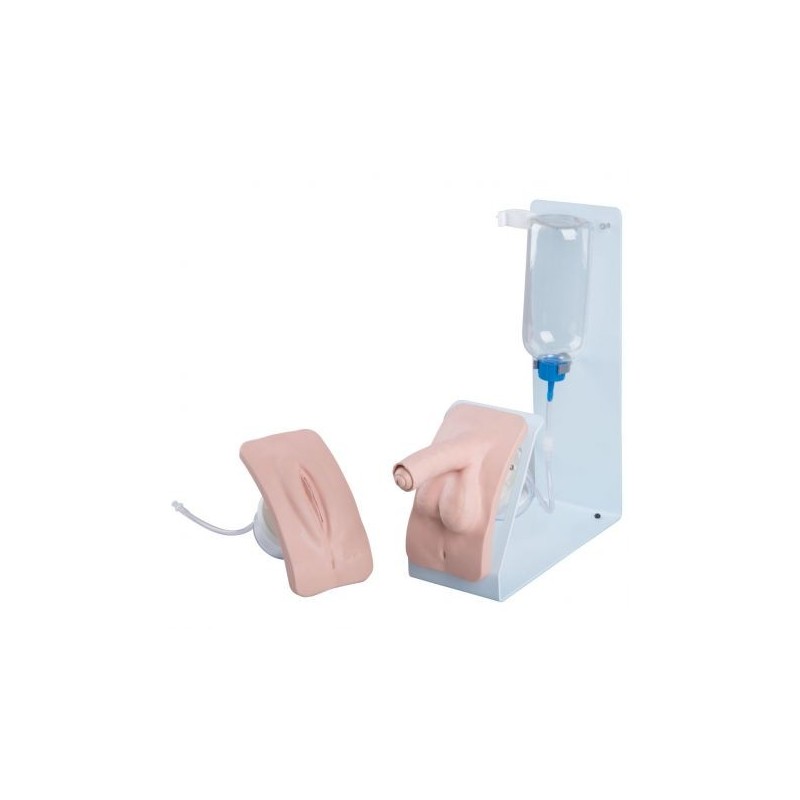 Simulatore per la pratica del cateterismo maschile e femminile BASIC P93B-S