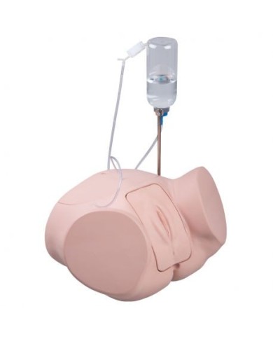 Simulatore per la pratica del cateterismo femminile PRO P93P-F