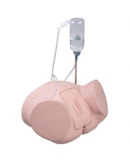 Simulatore per la pratica del cateterismo femminile PRO P93P-F